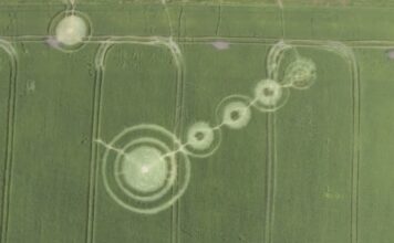 Strange Crop Circles Show up in Russia