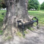 The Hungry Tree