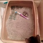 litter-box-toothbrush