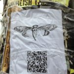 cicada-Poster_2012