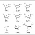 alternative-dna