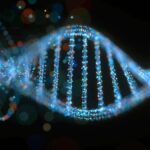 dna-11