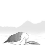 Albatross-comic-6