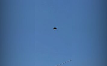 Weird UFO Filmed over Mexico