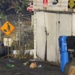 gta-5-garbage