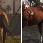 red-dead-redemption-horse-testicles-